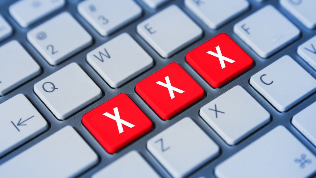 ¿Es la «manada» la única responsable? : La pornografía como control político